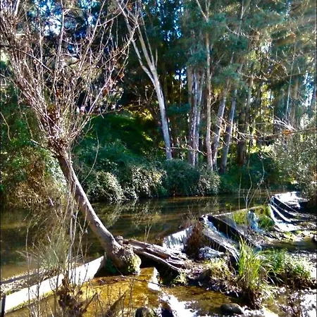 Farm stay La Buhardilla De Torrecillas