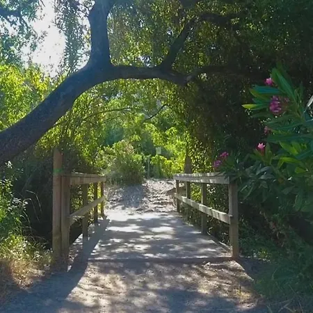 Farm stay La Buhardilla De Torrecillas